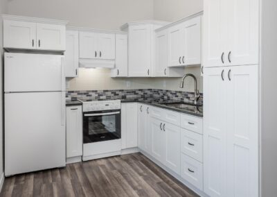 Mother-In-Law Suite Little Tiny House Kitchen