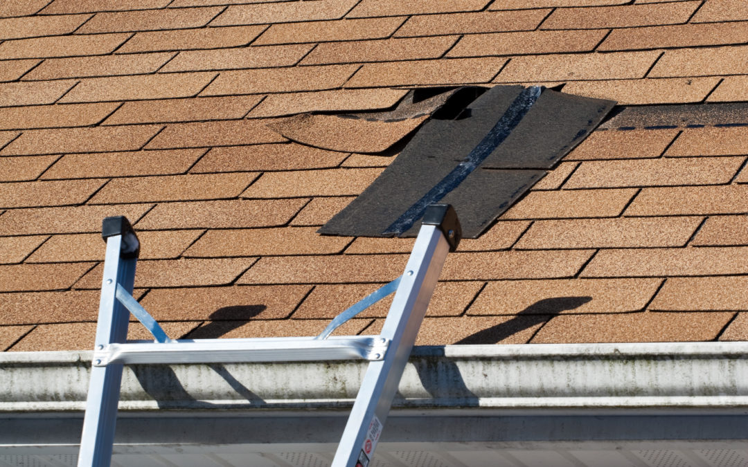 Hail Damaged Roof Repair